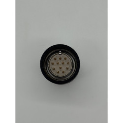 Connetore 12 P - M C/g Ø8mm